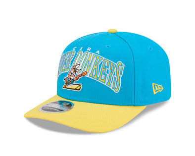 New Era – Hive Pro Shop - Augusta GreenJackets Official Store