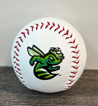 Home Logo Baseball